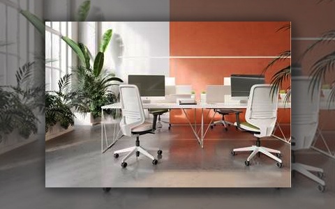 Escoger la mejor silla para tu oficina